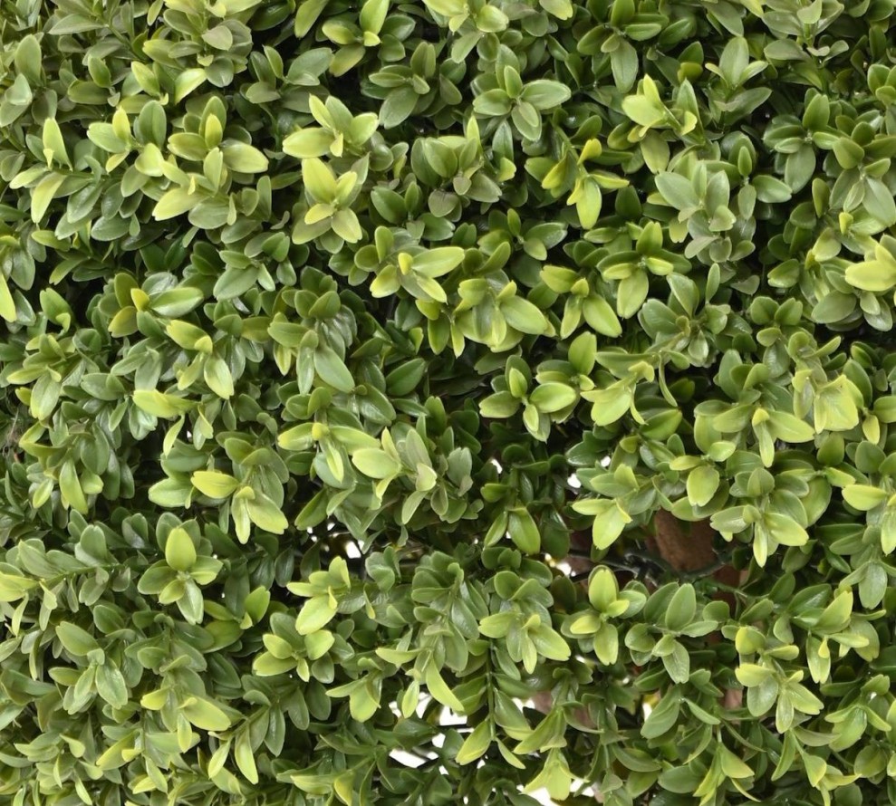 BOXWOOD BALL NEW UV RESISTANT