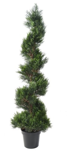 ZYPRESSE MINI NEW SPIRALE...