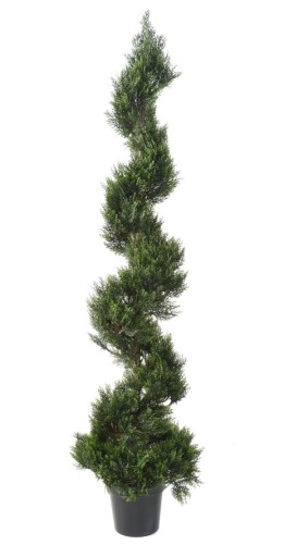 ZYPRESSE MINI NEW SPIRALE...