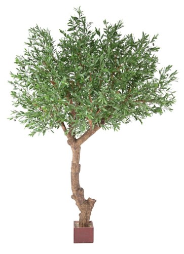 OLIVENBAUM GIANT KRONE PLAST 270 UV