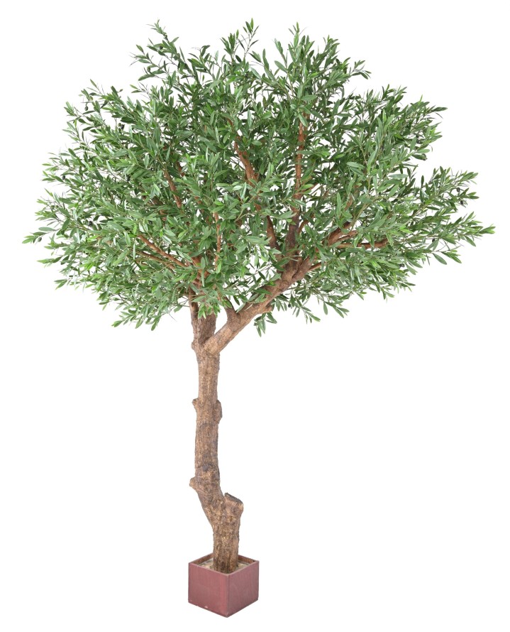 OLIVENBAUM GIANT KRONE PLAST 270 UV