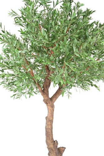 OLIVENBAUM GIANT KRONE PLAST 270 UV