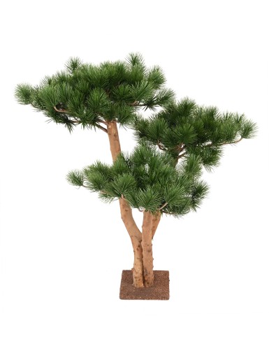 PINO 3T RESISTENTE A LOS...