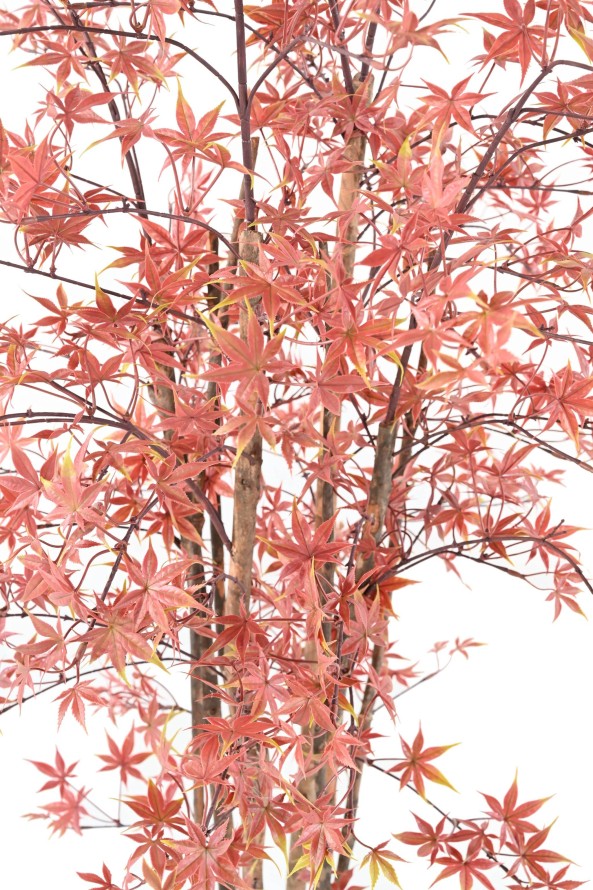 ARALIA PE RESISTENTE A LOS RAYOS UV