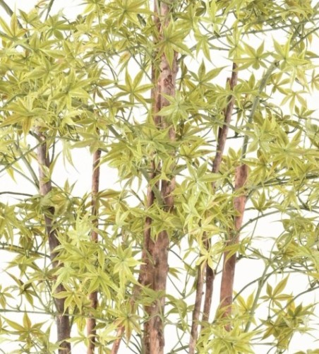ARALIA PE UV