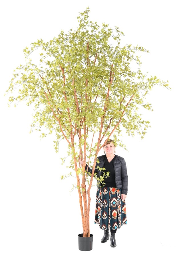 ARALIA PE TREE RESISTENTE A LOS RAYOS UV