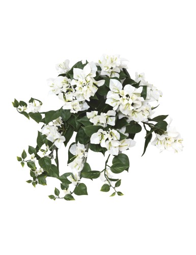 BOUGAINVILLEA (Drillingsblume) GROSS HÄNGEKUNSTPFLANZE UV