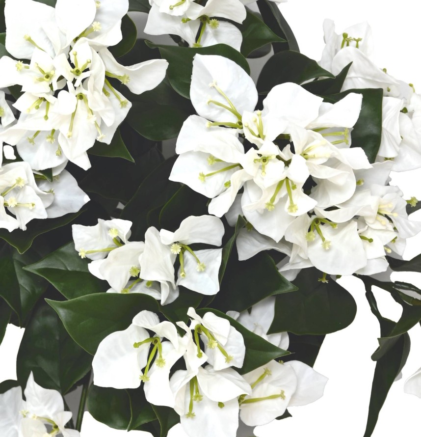 BUGANVILLA LARGE COLGANTE RESISTENTE A LOS RAYOS UV