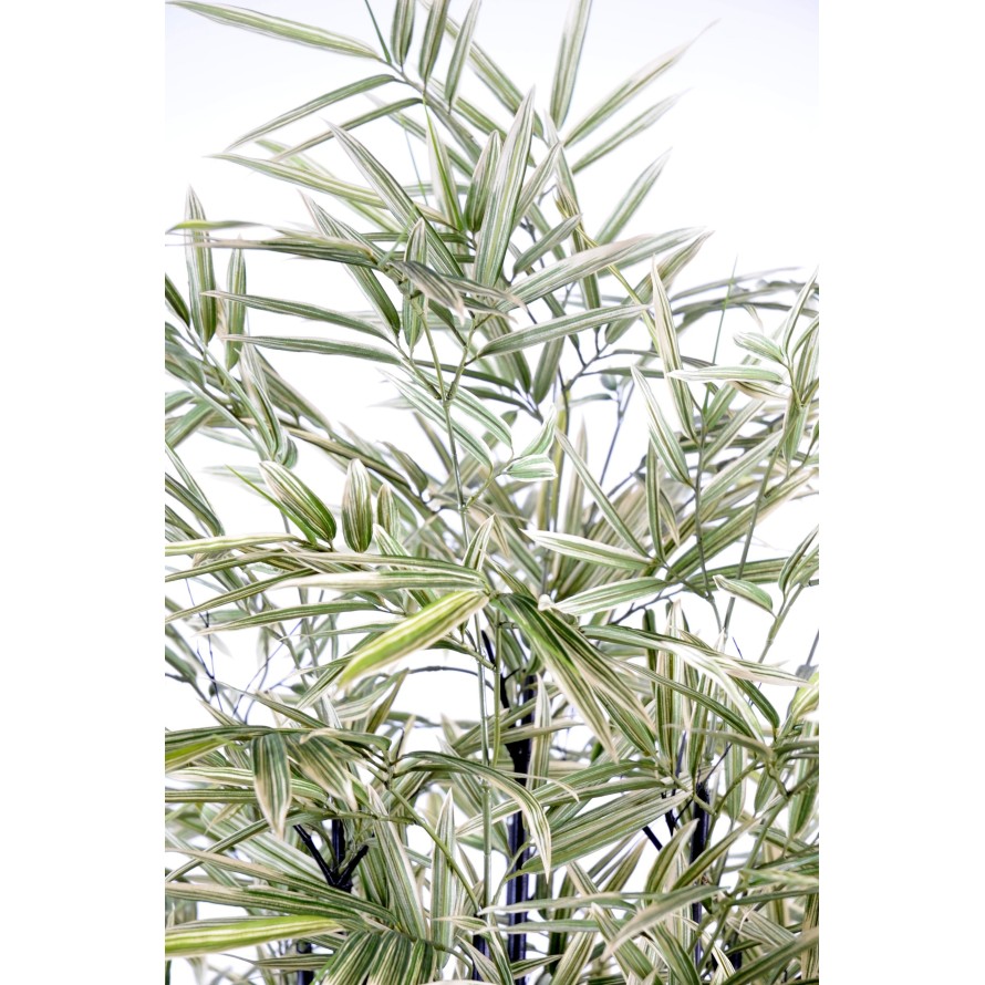 BAMBOO BLACK SHIROSHIMA LARGE