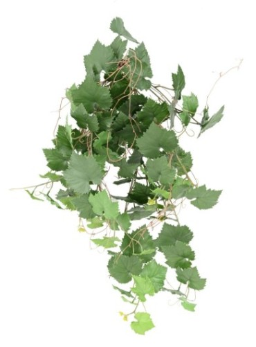 VID COLGANTE PLÁST....