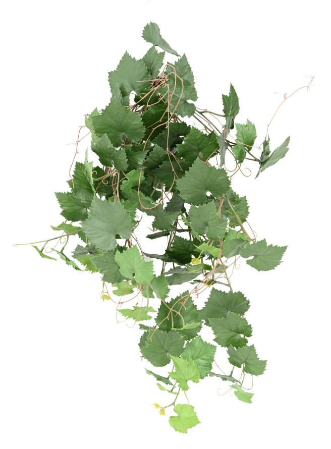 VID COLGANTE PLÁST. RESISTENTE A LOS RAYOS UV