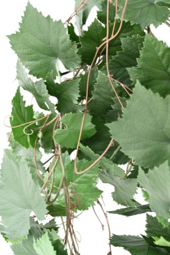 WEINREBE HÄNGEKUNSTPFLANZE PLAST UV-BESTÄNDIG