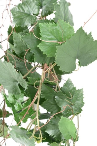 WEINREBE HÄNGEKUNSTPFLANZE PLAST UV-BESTÄNDIG
