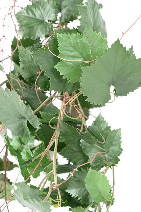 WEINREBE HÄNGEKUNSTPFLANZE PLAST UV-BESTÄNDIG