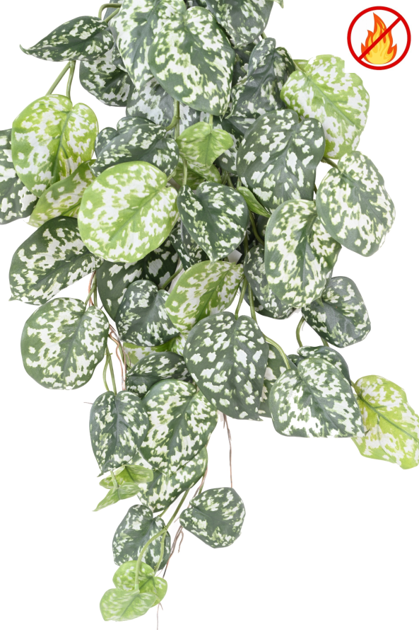 SCINDAPSUS *60 FR - Resistente al Fuego