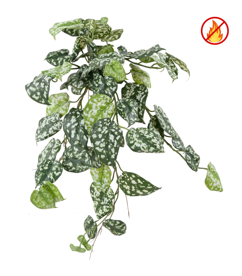 SCINDAPSUS *60 FR - Resistente al Fuego