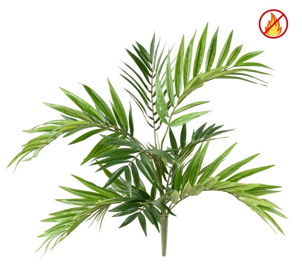 CHAMAEDOREA *196 FR - Resistente al Fuego