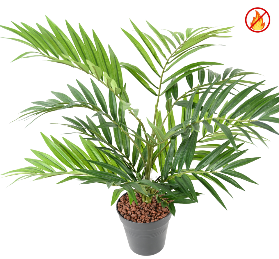 CHAMAEDOREA *196 FR - Resistente al Fuego