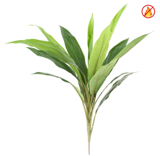 DRACAENA CORDYLINE FR - Resistente al Fuego