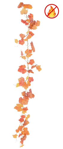 WEINREBE GIRLANDE 180 FR –...