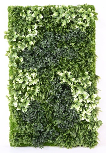 JARDÍN VERTICAL CON PLANTAS BERBERIS