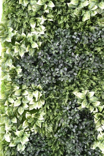 JARDÍN VERTICAL CON PLANTAS BERBERIS