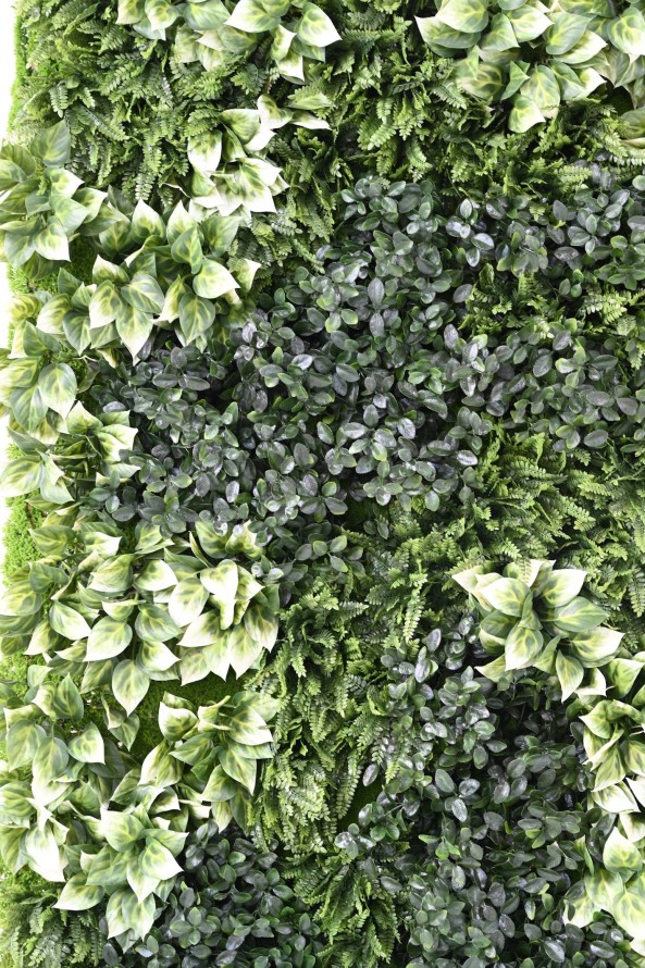 JARDÍN VERTICAL CON PLANTAS BERBERIS