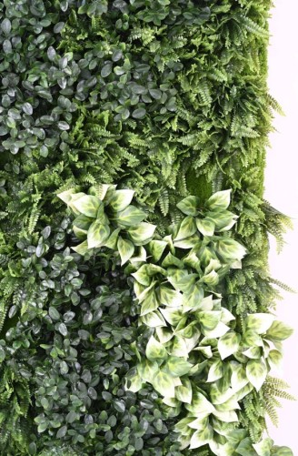 JARDÍN VERTICAL CON PLANTAS BERBERIS