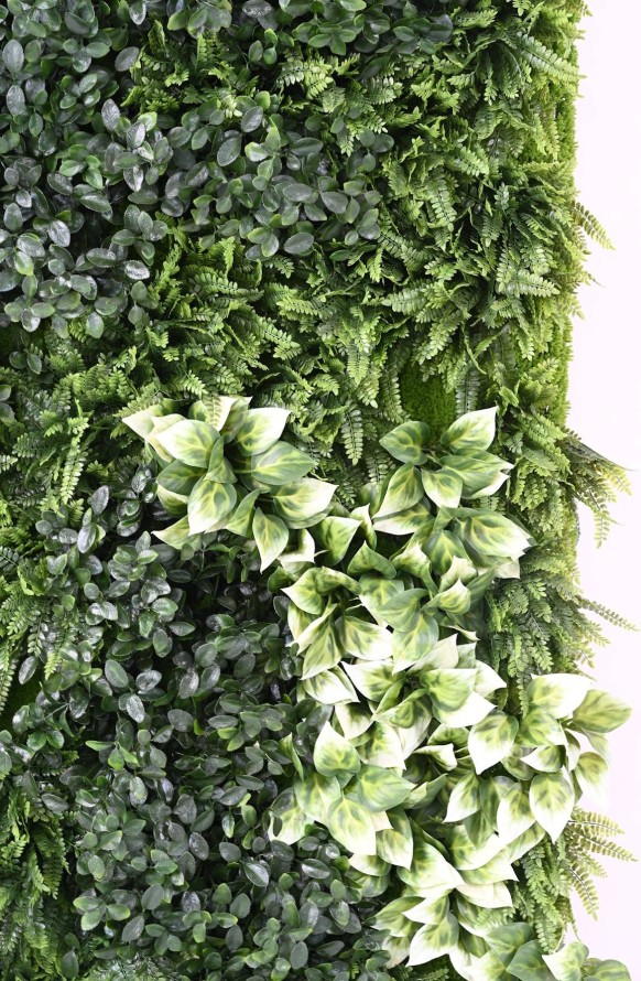 JARDÍN VERTICAL CON PLANTAS BERBERIS