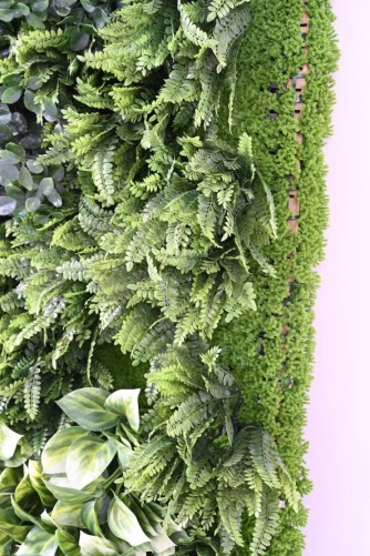 JARDÍN VERTICAL CON PLANTAS BERBERIS