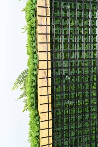 JARDÍN VERTICAL CON PLANTAS BERBERIS