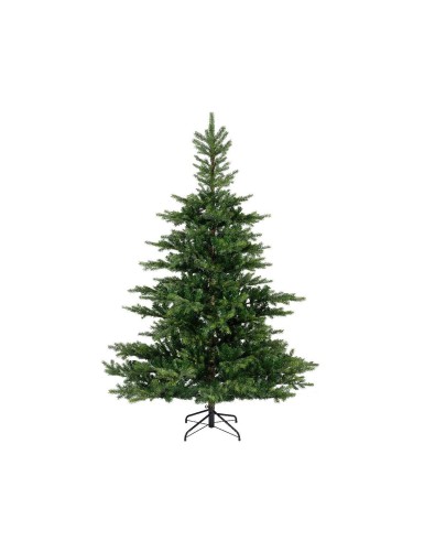 TANNE GRANDIS (Weihnachtsbaum)