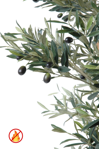 OLIVIER TRONC NOUEUX 170 FR - Fire Resistant