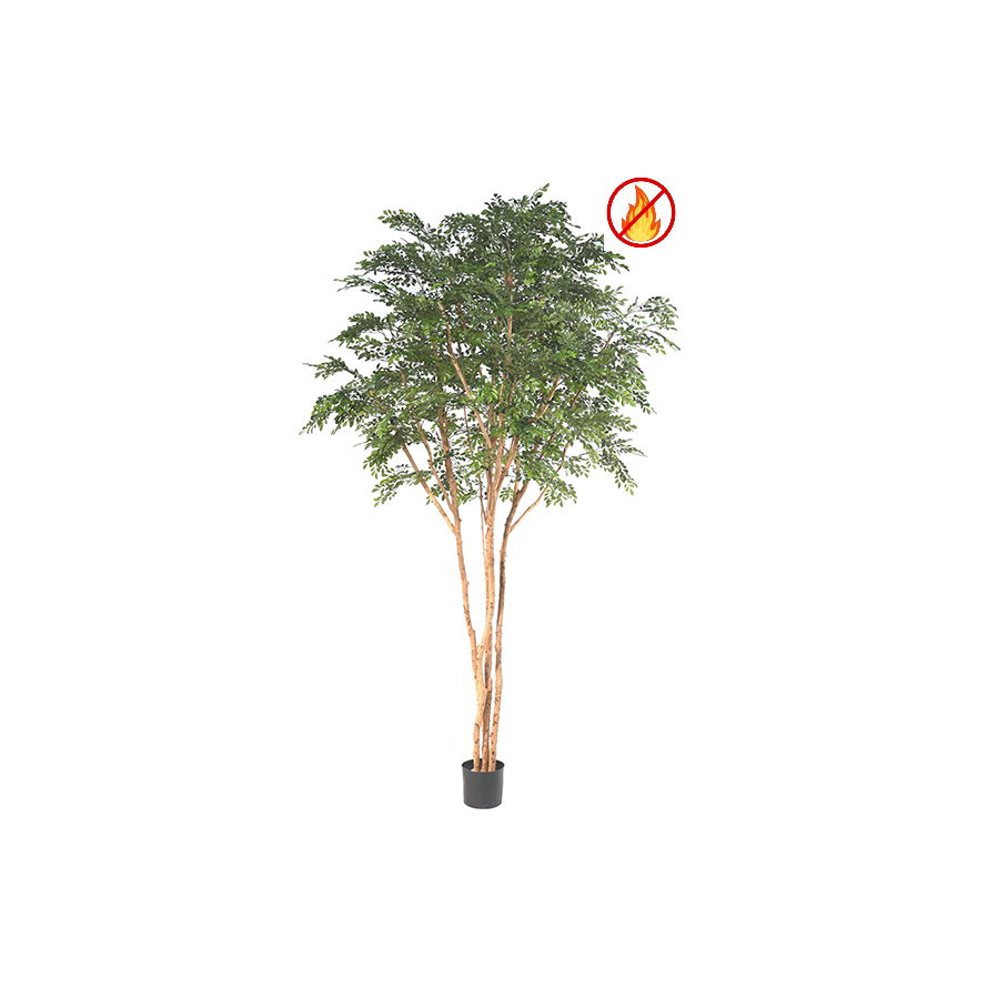 BUCIDA TREE 330 LUXE FR – Feuerbeständig
