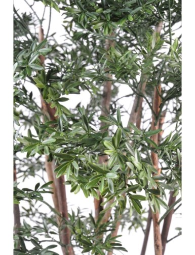 SAUCE AMERICANO PLÁST.