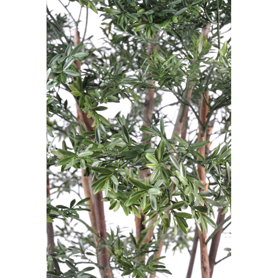 SAUCE AMERICANO PLÁST.