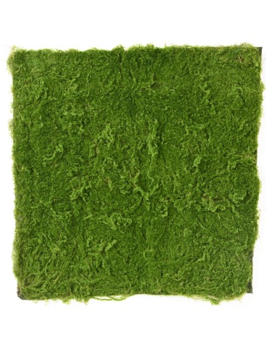 MUSGO Artificial PANEL F RF...