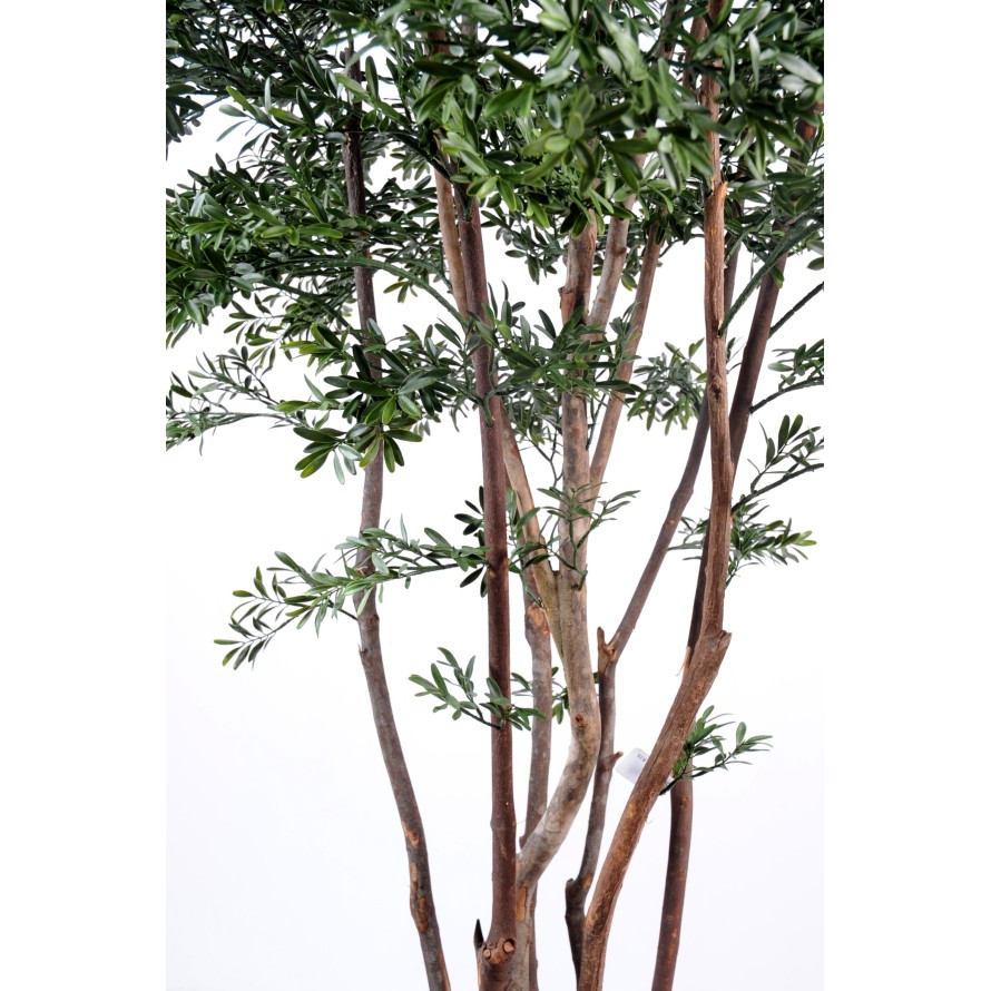 SAUCE AMERICANO PLÁST.