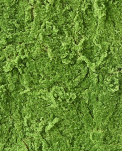 MOOS Künstlich PLATTE RF 100 × 100