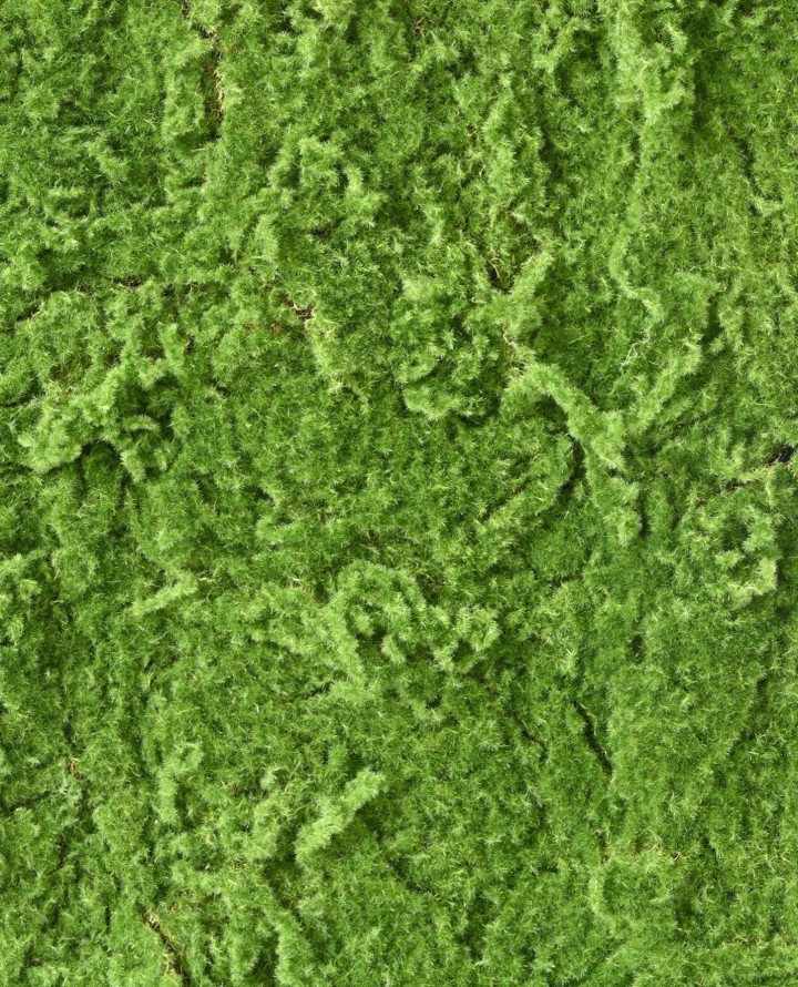 MOOS Künstlich PLATTE RF 100 × 100