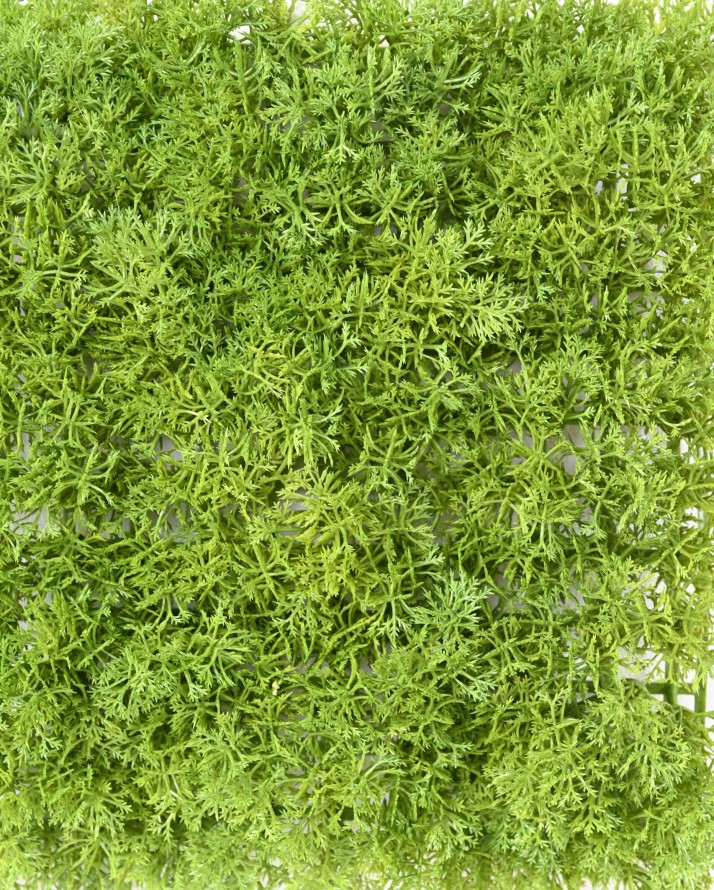 MOSS DEKOPLATTE PE 24 24