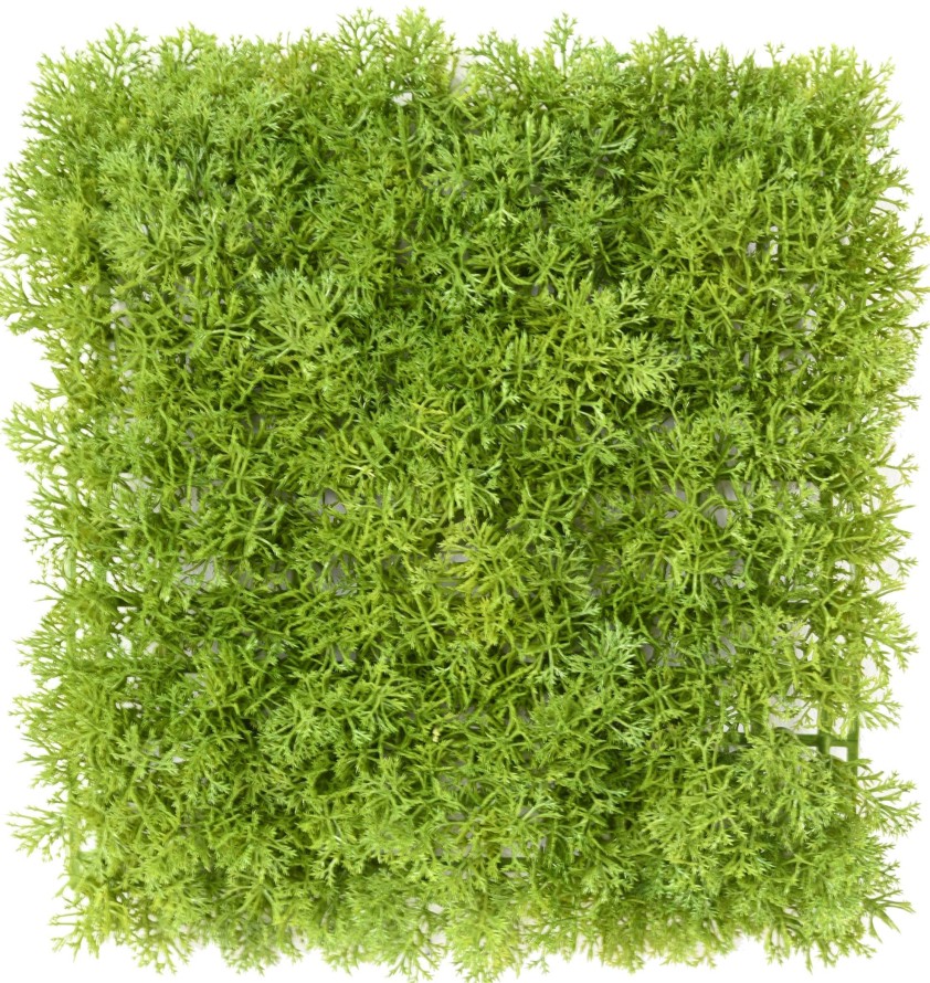MOSS DEKOPLATTE PE 24 24