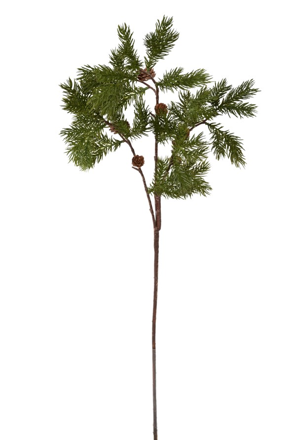 KIEFER ZWEIG MINI ZAPFEN