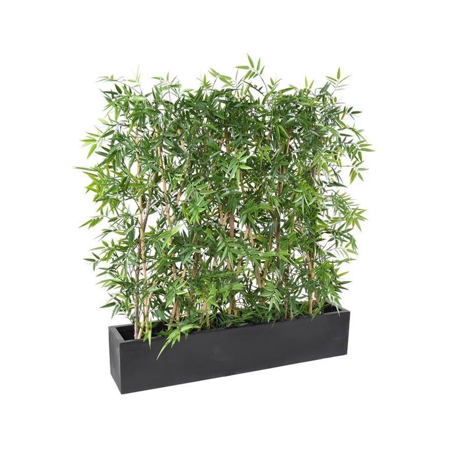 BAMBUS JAPANESE PLAST DICHTE HECKE UV IM PFLANZKASTEN