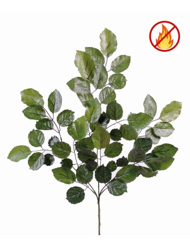 HAYA RAMA *59 FR -...