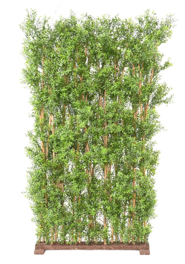 EUKALYPTUS 81 UV HECKE