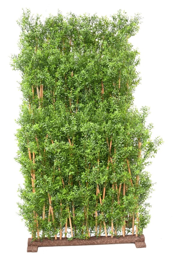 EUKALYPTUS 81 UV HECKE