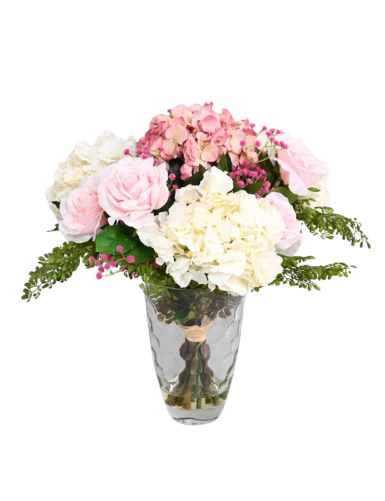 STRAUSS ROSE HORTENSIA