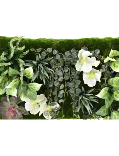 JARDÍN VERTICAL VANDA