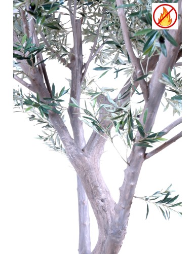 OLIVO GIGANTE 240 FR - Resistente al Fuego